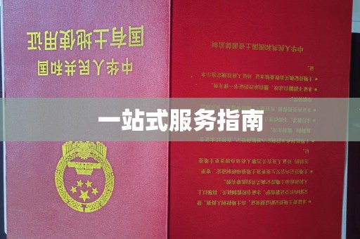 勉县一站式服务指南
