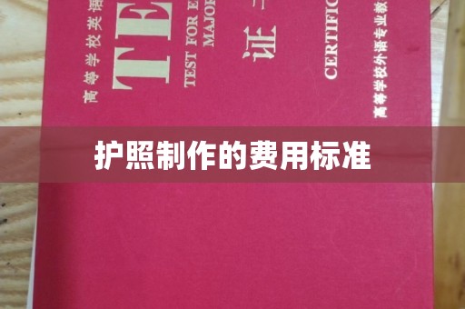 勉县护照制作的费用标准
