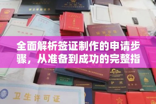 勉县全面解析签证制作的申请步骤，从准备到成功的完整指南
