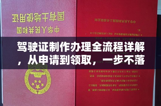 勉县驾驶证制作办理全流程详解，从申请到领取，一步不落