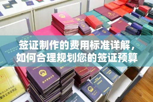 勉县签证制作的费用标准详解，如何合理规划您的签证预算